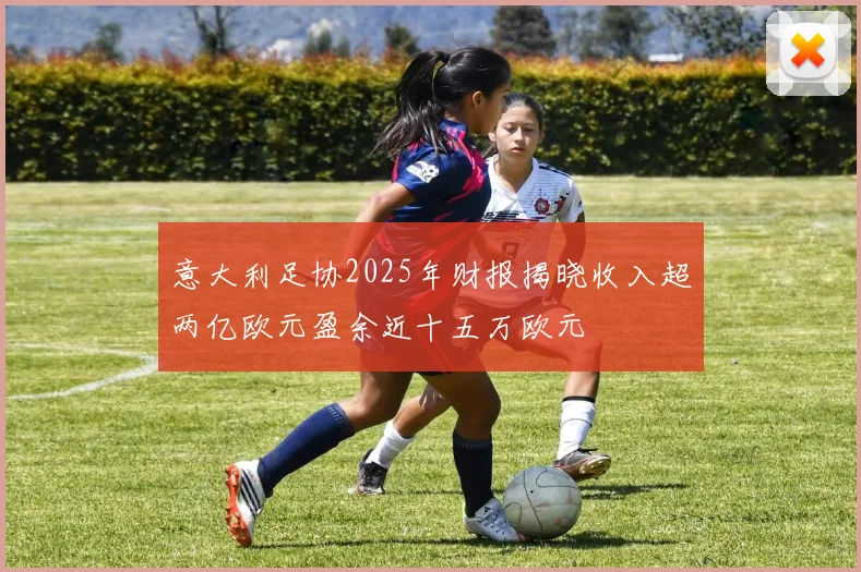 意大利足协2025年财报揭晓收入超两亿欧元盈余近十五万欧元